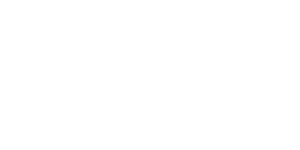 Logo Fedinsa