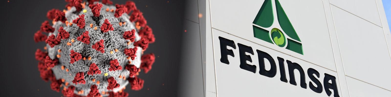 Fedinsa ante el Real Decreto Ley 10/2020