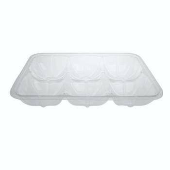Embalagem de plástico OPS transparente retangular compartimentada 250x182x40 mm. - GO 1100 A (vista oblíqua)