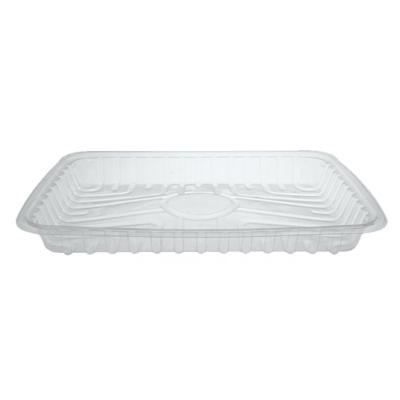 Envase de plástico OPS transparente rectangular sin tapa 250x182x27 mm. - GO 700 (vista oblicua)