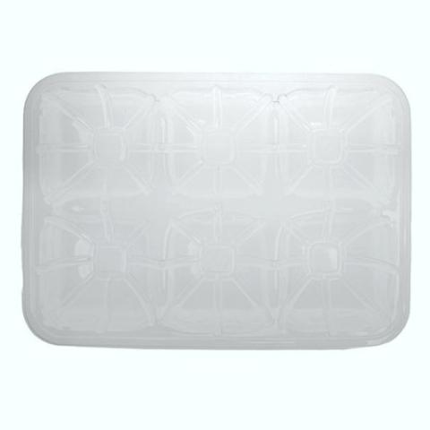 Envase de plástico PET transparente rectangular sin tapa 250x182x40 mm. - GOT 1100 (vista planta)